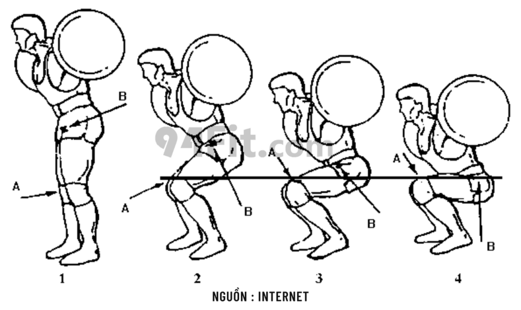 độ sâu khi squat - 94fit