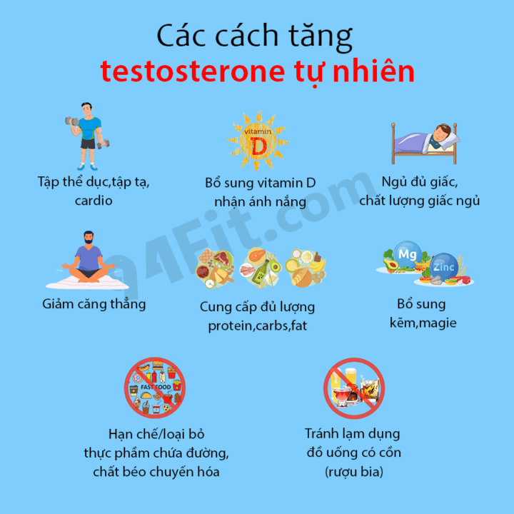 các cách tăng cường testosterone tự nhiên - 94fit
