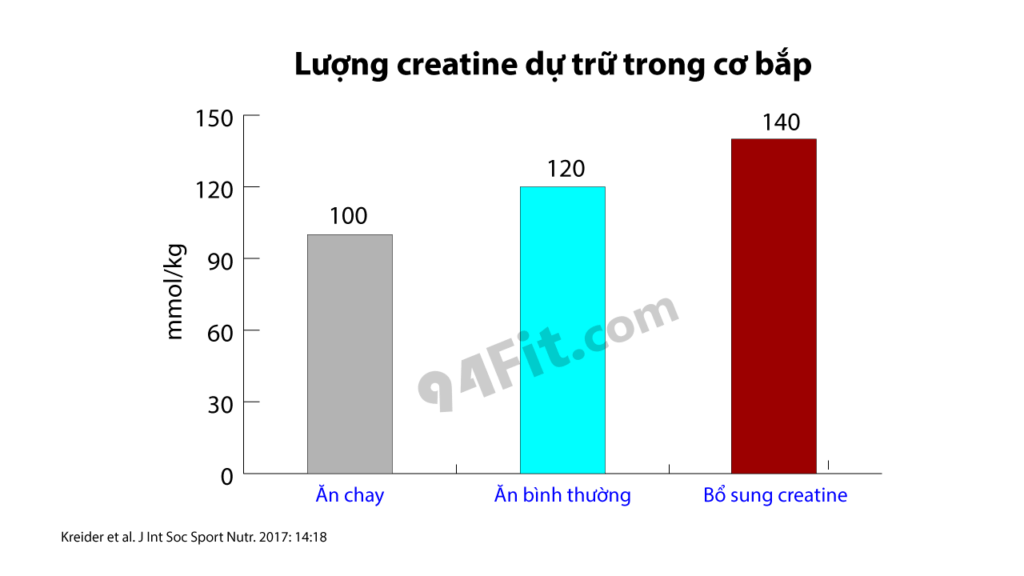 lượng creatine dự trữ trong cơ bắp - 94fit