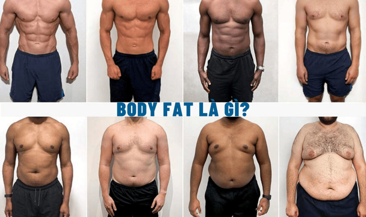 body fat là gì cách tính tỷ lệ phần trăm mỡ trong cơ thể -94fit