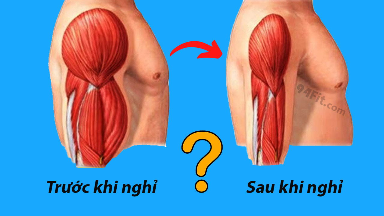 Bao lâu bắt đầu mất cơ sau khi nghỉ tập luyện