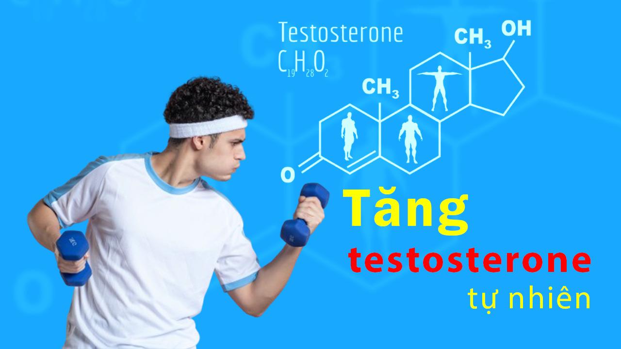 testosterone là gì? cách tăng testosterone tự nhiên - 94fit